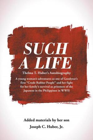 Cover of the book Such a Life by Robert Pitel