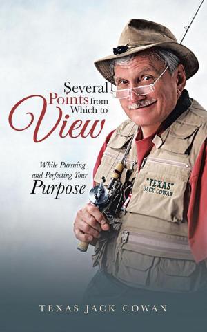 Cover of the book Several Points from Which to View by Jan Phillips