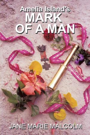 Cover of the book Amelia Island's Mark of a Man by Antony J. Bourdillon