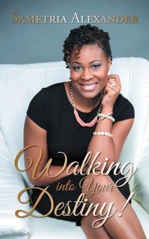 Cover of the book Walking into Your Destiny! by D.H. Schneider