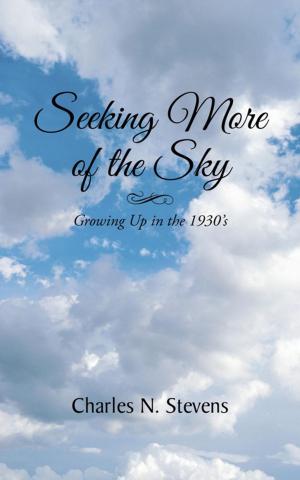 Cover of the book Seeking More of the Sky by Gisela H. E. Schneider.