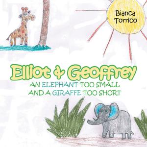 Cover of the book Elliot & Geoffrey by Gerard Vernot PhD