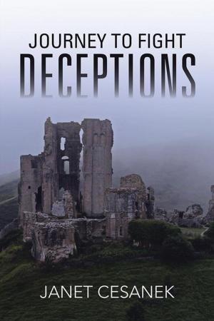 Book cover of Journey to Fight Deceptions