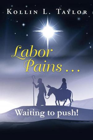 Cover of the book Labor Pains . . . Waiting to Push! by Susan Monson