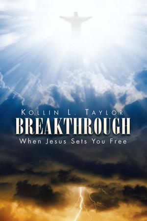Cover of the book Breakthrough by William Flewelling