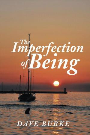 Cover of the book The Imperfection of Being by ARNOLD P. ABBOTT