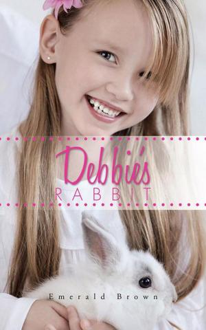 Cover of the book Debbie's Rabbit by Benjamin Maira