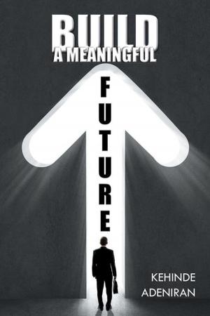 Book cover of Build a Meaningful Future