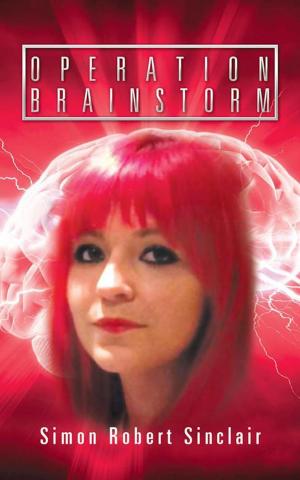 Cover of the book Operation Brainstorm by John Bolstridge