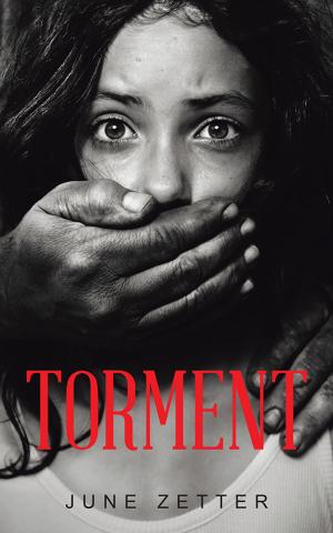 Cover of the book Torment by Benjamin K. Tejevo