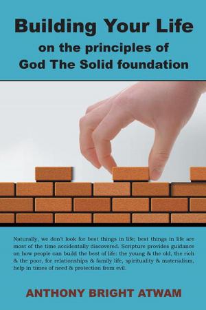 Cover of the book Building Your Life on the Principles of God: the Solid Foundation by Helen Mannion