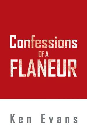 Book cover of Confessions of a Flaneur