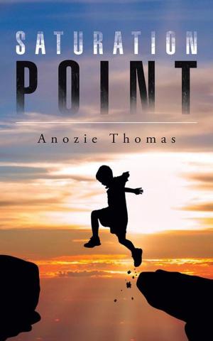 Cover of the book Saturation Point by Michael Dean Payne