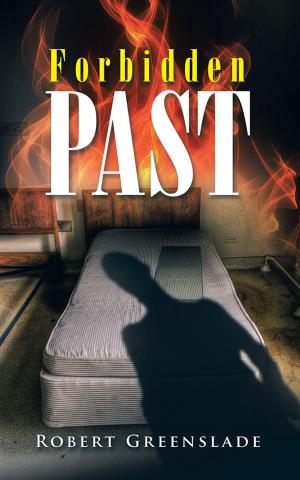 bigCover of the book Forbidden Past by 