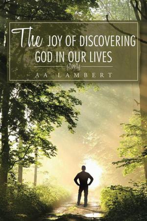 Cover of the book The Joy of Discovering God in Our Lives by Dan Felix
