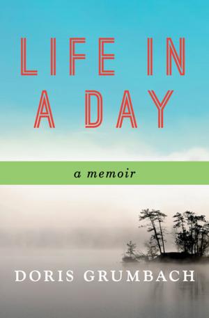 Cover of the book Life in a Day by Ernle Bradford