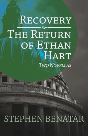 Cover of the book Recovery and The Return of Ethan Hart by Amy Laura Dombro, Leah Wallach