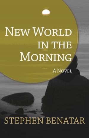 Cover of the book New World in the Morning by Shelley Stoehr