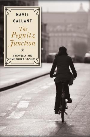 Cover of the book The Pegnitz Junction by Janet Dailey