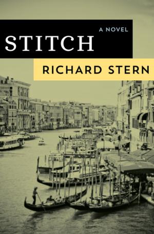 Cover of the book Stitch by Betsy Byars