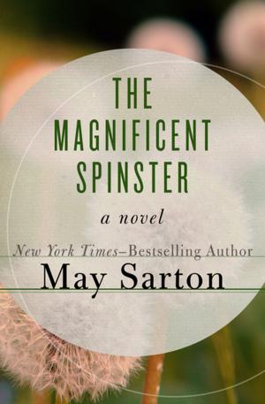 Cover of the book The Magnificent Spinster by Amanda Scott