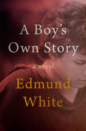 Book cover of A Boy's Own Story