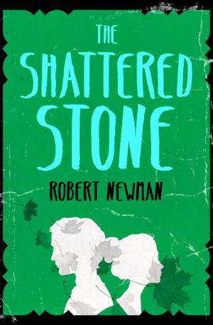 Cover of the book The Shattered Stone by Emily Eden