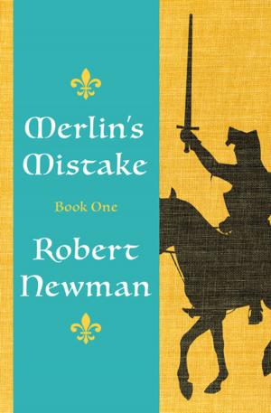 Cover of the book Merlin's Mistake by Peter Lerangis