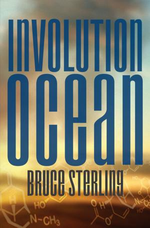 Cover of the book Involution Ocean by John Ashbery