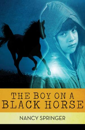 Cover of the book The Boy on a Black Horse by Bruce Chatwin