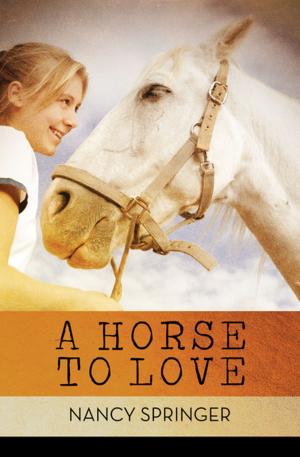 Cover of the book A Horse to Love by Hal Borland