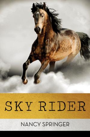 Cover of the book Sky Rider by Clifford D. Simak