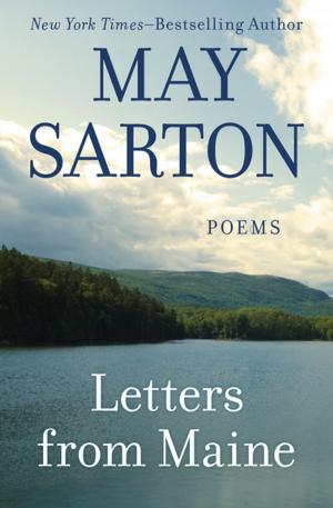Cover of the book Letters from Maine by Dorothy Eden