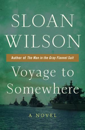 Cover of the book Voyage to Somewhere by Pat Murphy