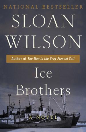 Cover of the book Ice Brothers by David Lipsky