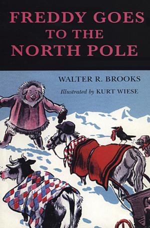 Cover of the book Freddy Goes to the North Pole by David Gordon