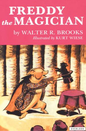 Cover of the book Freddy the Magician by Walter R. Brooks