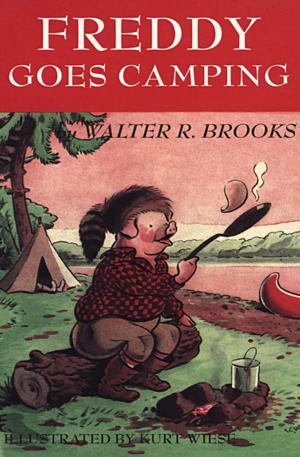 Cover of the book Freddy Goes Camping by Dave Stanley