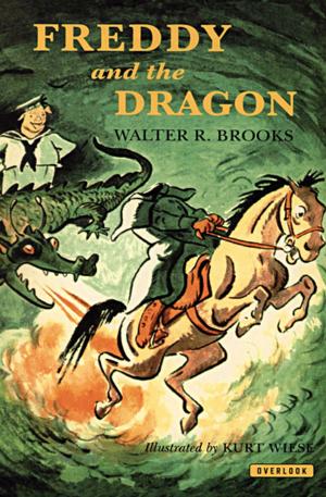 Cover of the book Freddy and the Dragon by Walter R. Brooks