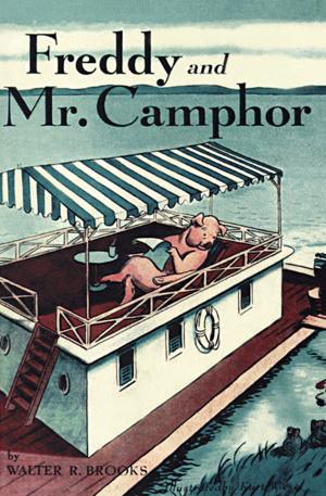 Cover of the book Freddy and Mr. Camphor by Jean Shaw