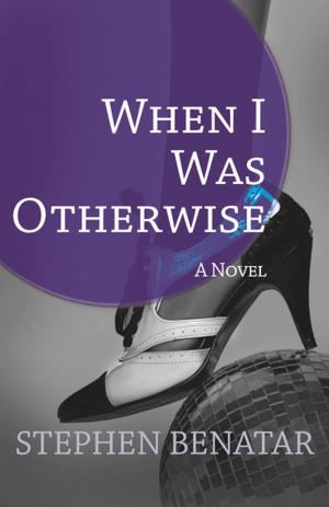 Cover of the book When I Was Otherwise by Dani J Caile