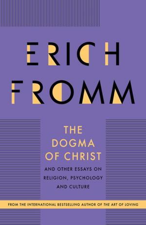 Cover of the book The Dogma of Christ by Douglas LaBier