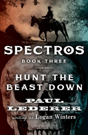 Cover of the book Hunt the Beast Down by Luke Short
