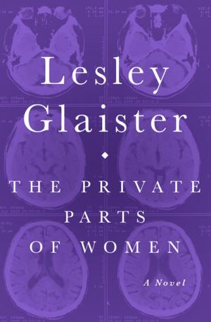 bigCover of the book The Private Parts of Women by 