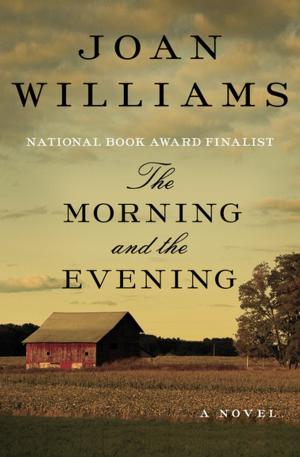 Book cover of The Morning and the Evening