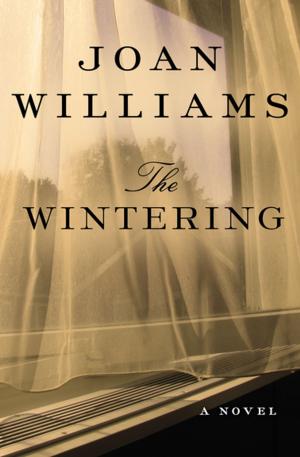 Cover of the book The Wintering by Fay Weldon