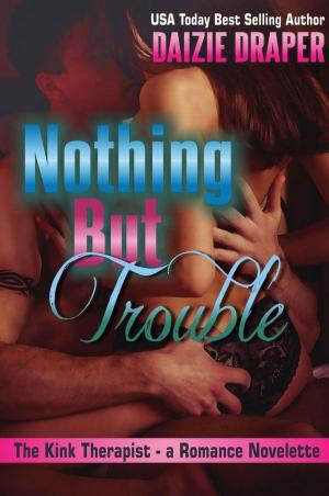 Cover of the book Nothing But Trouble by J.S. Harper