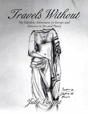 Cover of Travels Without