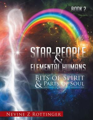 Cover of the book Bits of Spirit & Parts of Soul"...Reclaiming the Archetypes of Creation Within. by Jeff R Price