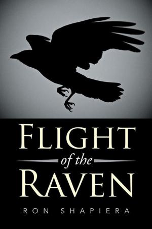 Cover of the book Flight of the Raven by Ashley DD Hajny